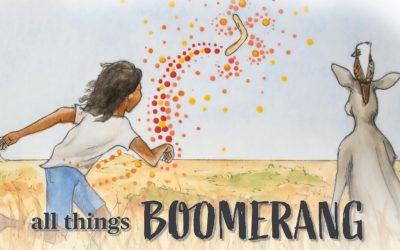 Boomerangs