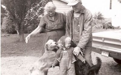 Writing Wrongs– How My Family’s History Influenced My Novels