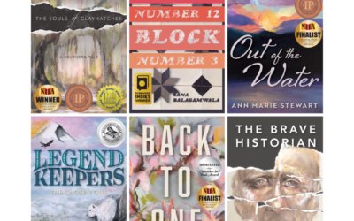 Award-winning Fiction from Hidden Shelf Publishing